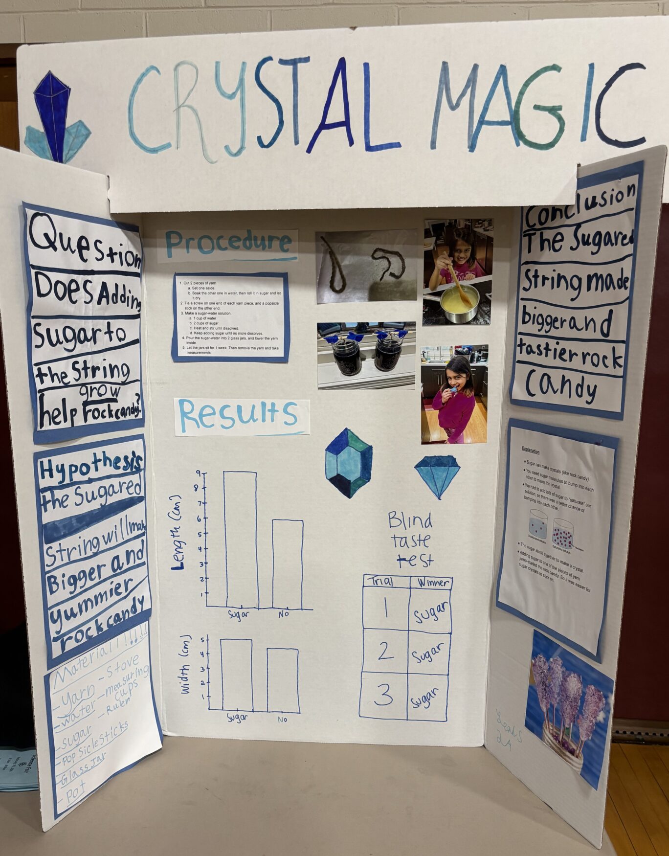 IMG_3180 South Row Elementary School second grader Leah Sarathy's science fair project explored the creation of rock candy using sugar water and yarn.